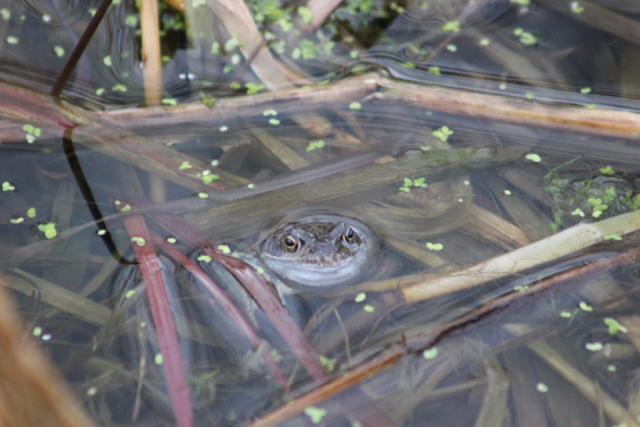 image001