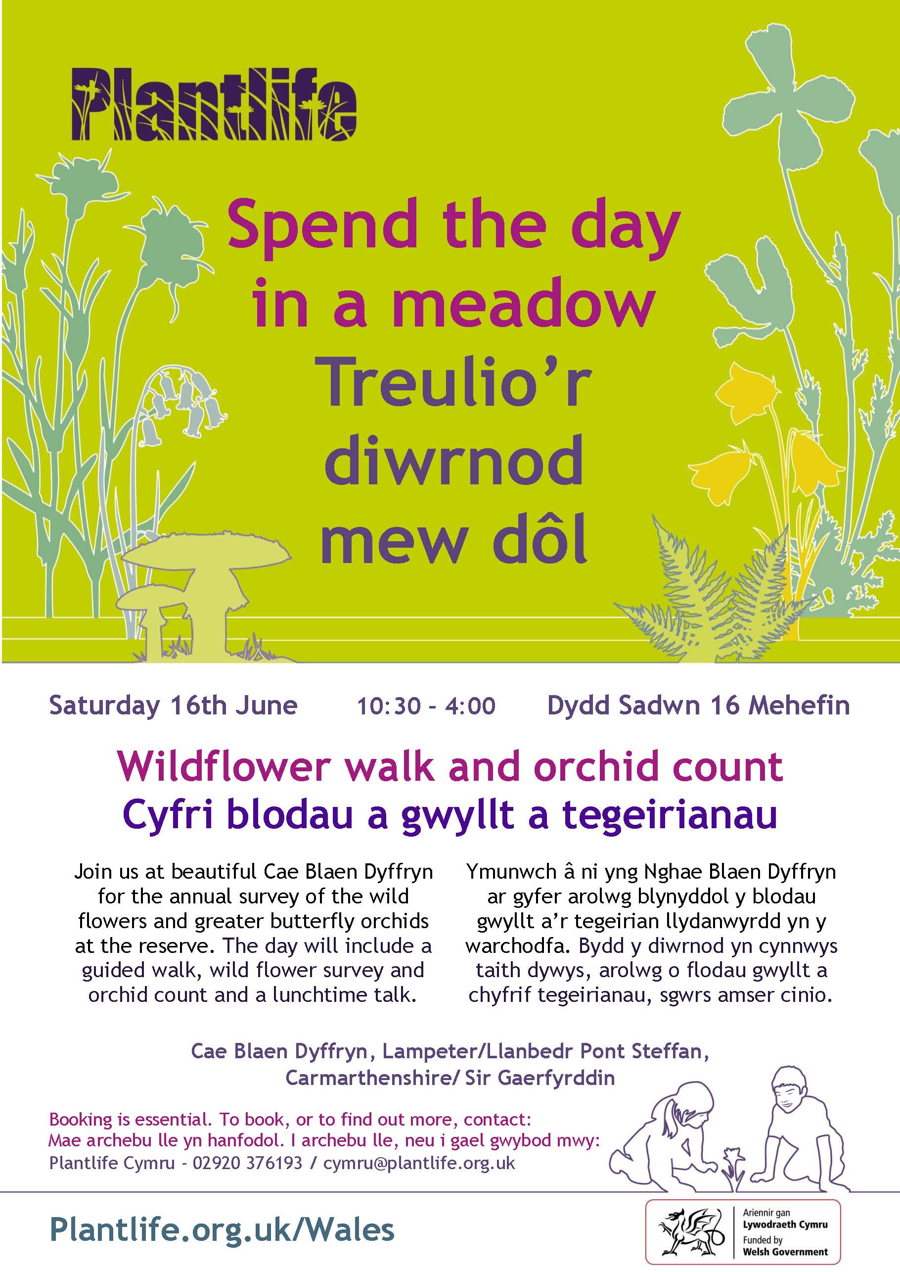 Wild Flower Count 18 Poster