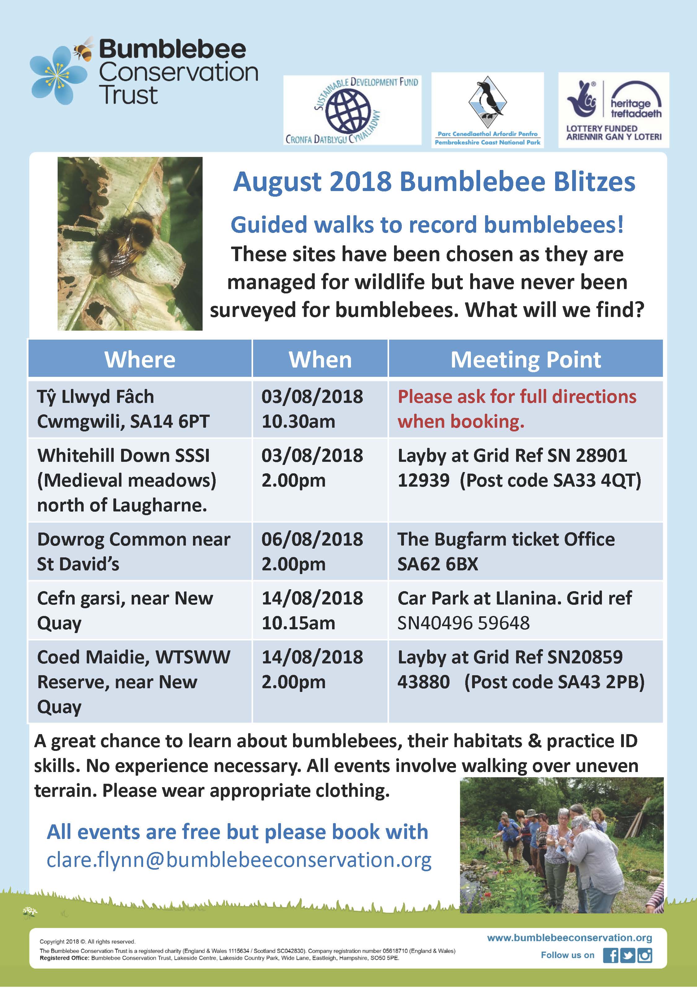 Bee Surveys August2018 (1)