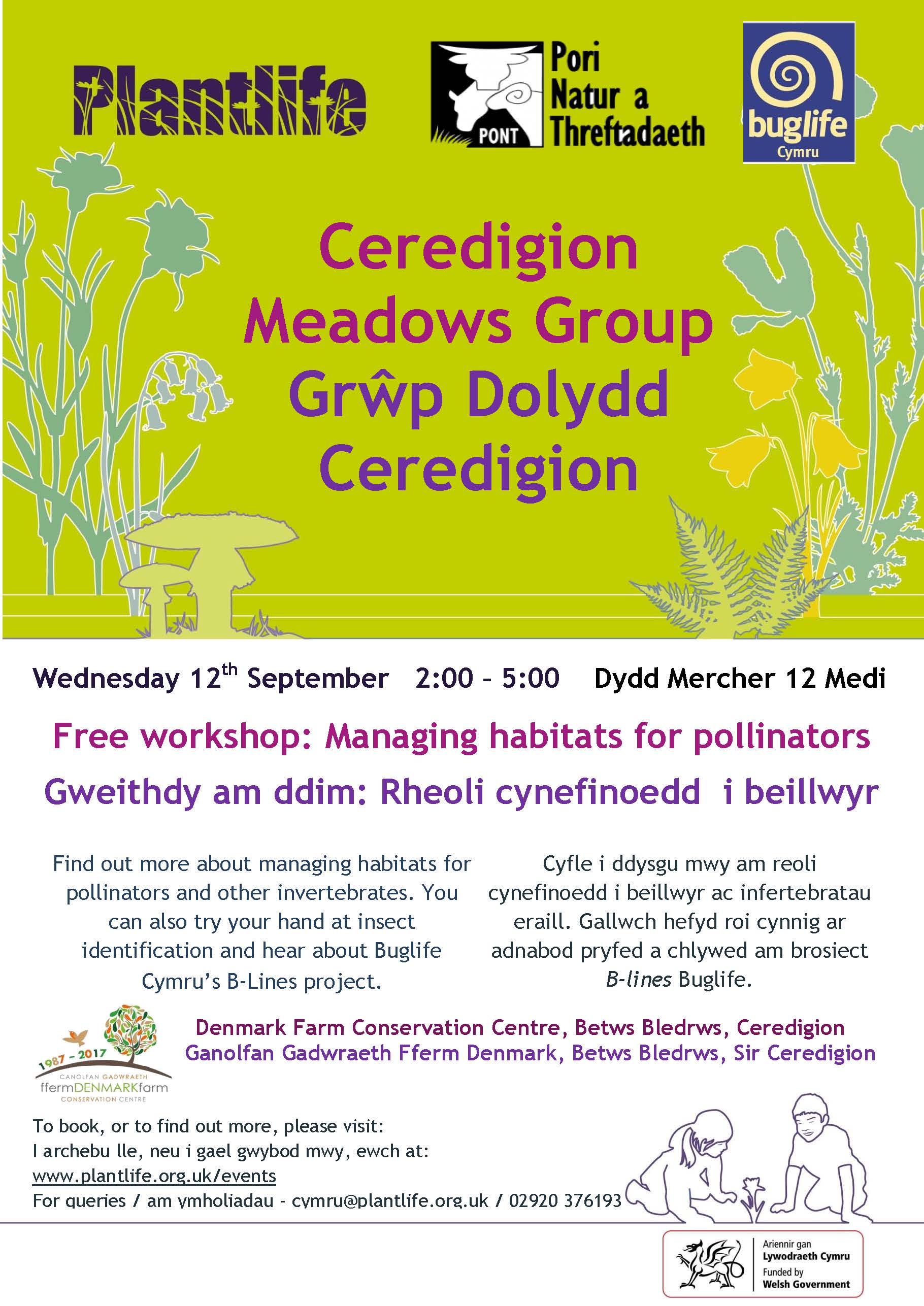 Ceredigion Meadows Afternoon - Sept